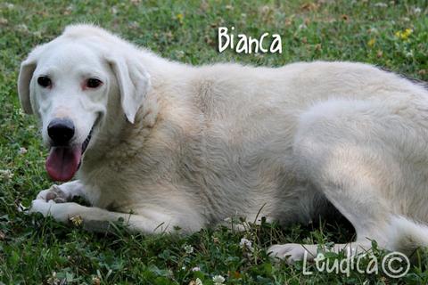 La bella Bianca!